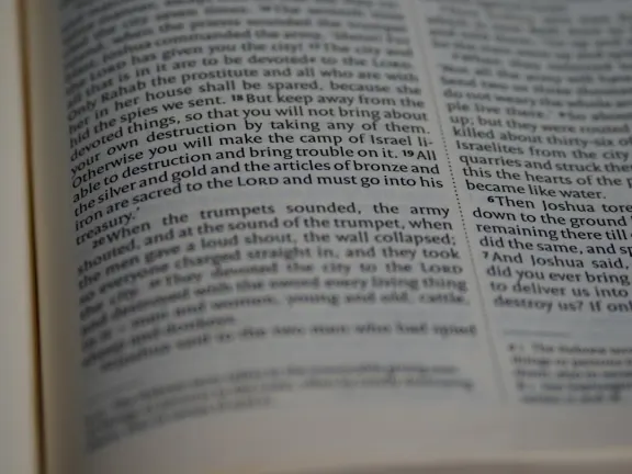 Hejgo Casino Supporto